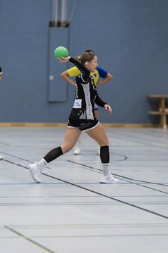 Bild 143 - F HSG Pinnau2 - Rellinger TV2 : Ergebnis: 27:20